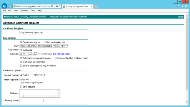 Certificate Web Enrollment form working correctly with SSL. 